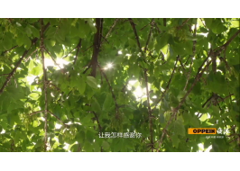 濮存昕-給女兒的家書